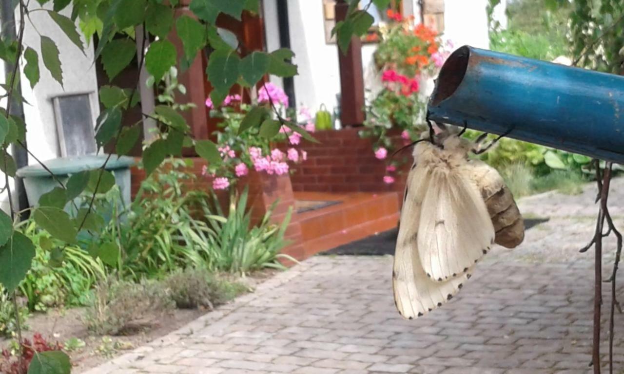Pokoje Goscinne Aga Widuchowa Buitenkant foto